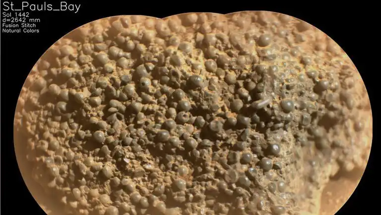 Mars'ta Şok Edici Keşif: "Örümcek Yumurtaları" Nedir?