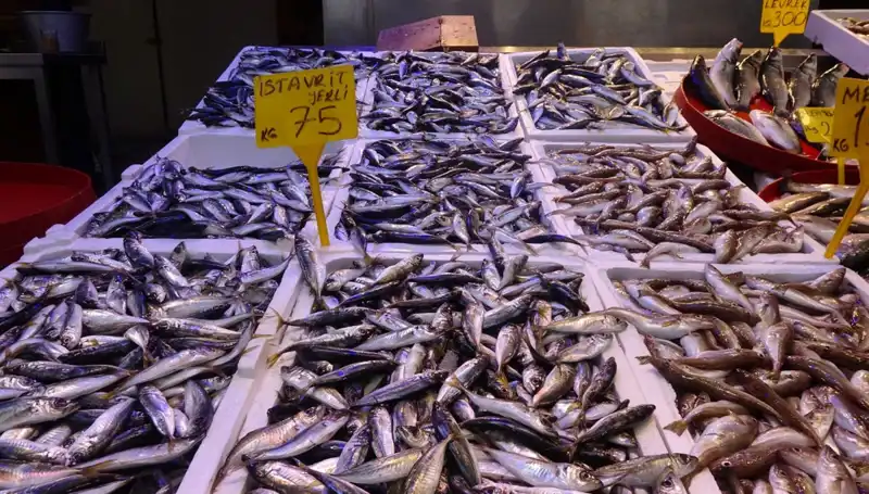 Balık Sezonu Kapanıyor: Balıkçıların ve Tüketicilerin Beklentileri Ne?