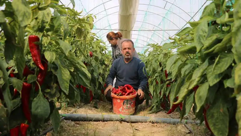 Fiyatlar Uçtu: 50 TL Olan Ürünler Şimdi 80 TL!