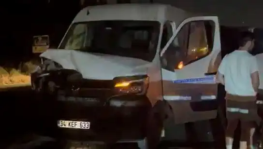 İstanbul'da Manda Kazası: Üç Yaralı ve Panik Dolu Anlar