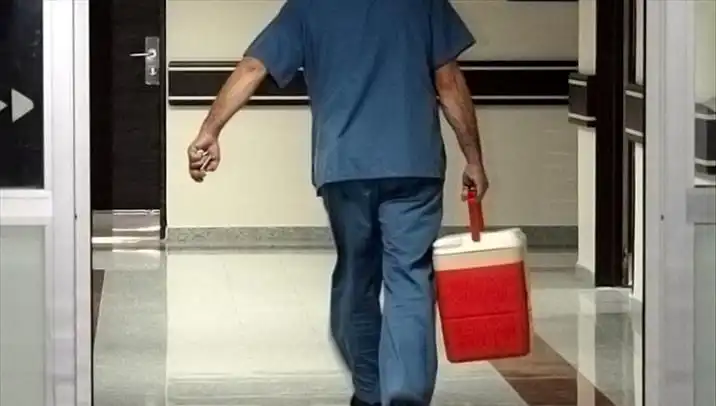 Organ Bağışında Dijital Dönüşüm: e-Devlet ve e-Nabız ile Yeni Uygulamalar