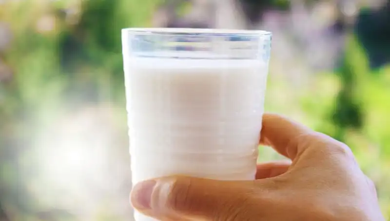 Süt Tüketimi Şişkinlik Yapıyor Mu? Uzmanlar Yanıtlıyor!