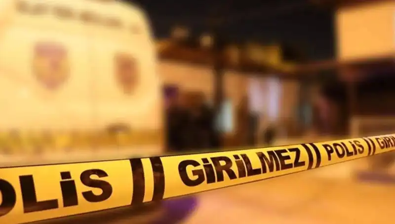 Diyarbakır'da Kayınpederin Dehşet Verici Eylemi: Aile İçi Şiddet Alışkanlığı