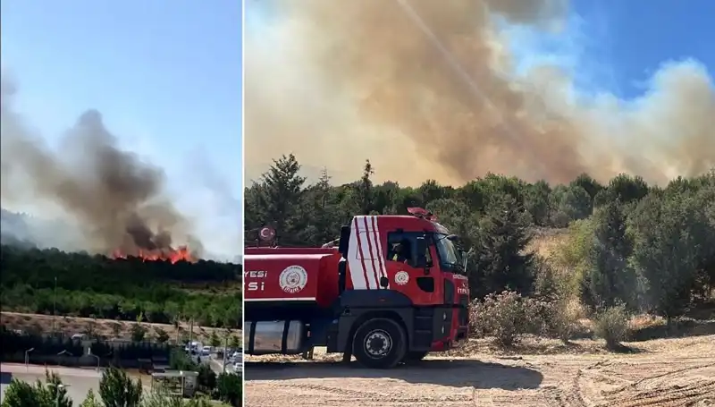 Gebze'de Orman Yangını: Yangın Söndürme Çalışmaları Devam Ediyor