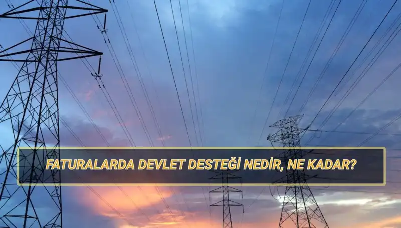2025'te Fatura Devlet Desteği: Elektrik ve Doğalgaz Ödemelerini Kimler Alabilecek?