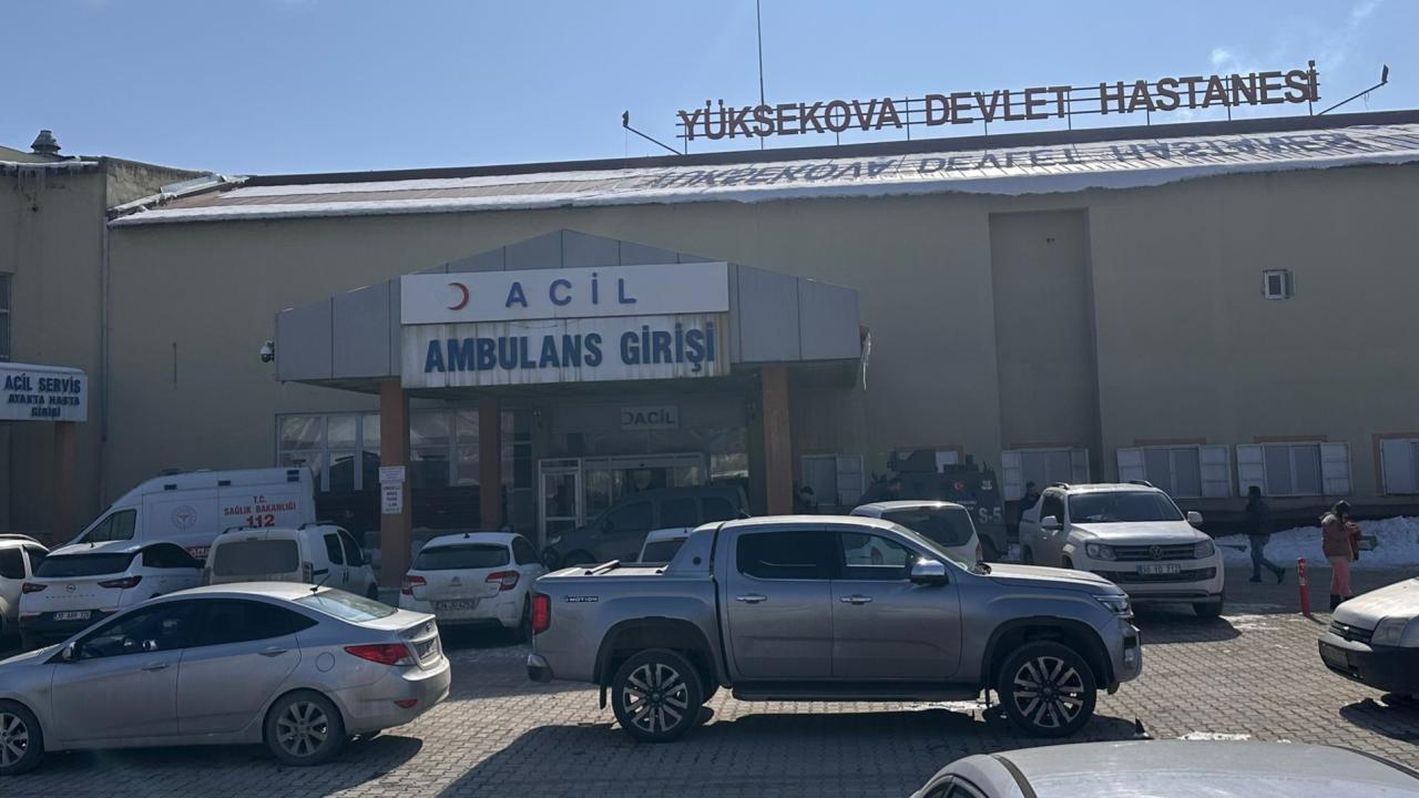 Başıboş köpeklerin saldırısında hayatını kaybeden çocuğun ölümüyle ilgili müfettiş görevlendirildi