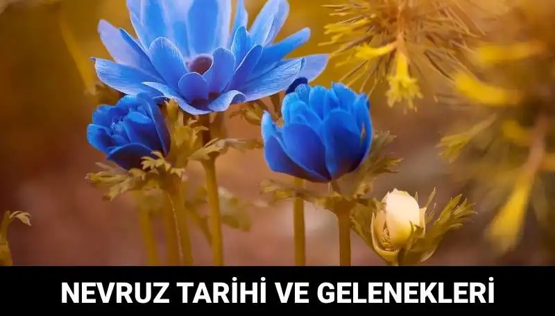 Nevruz Bayramı: Kültürümüzün Renkli Tohumlarını Ne Zaman Ekliyoruz?