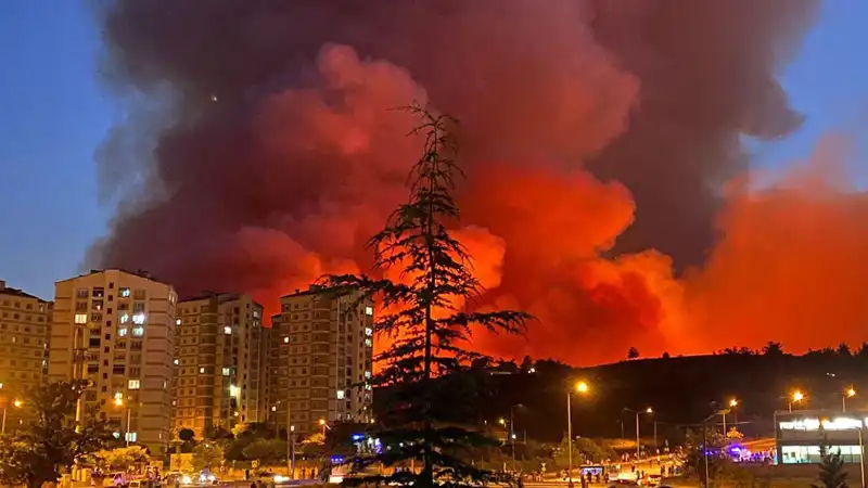 Bursa'da Yangınlar Şehri Sarmaladı: Neler Oluyor?