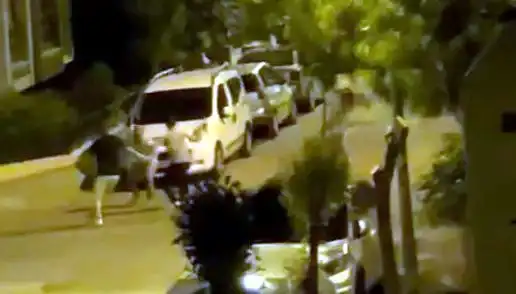 Avcılar'da 3 Saldırganın Hedefi Olan Vatandaş, Etraftaki Kahramanlar Tarafından Kurtarıldı