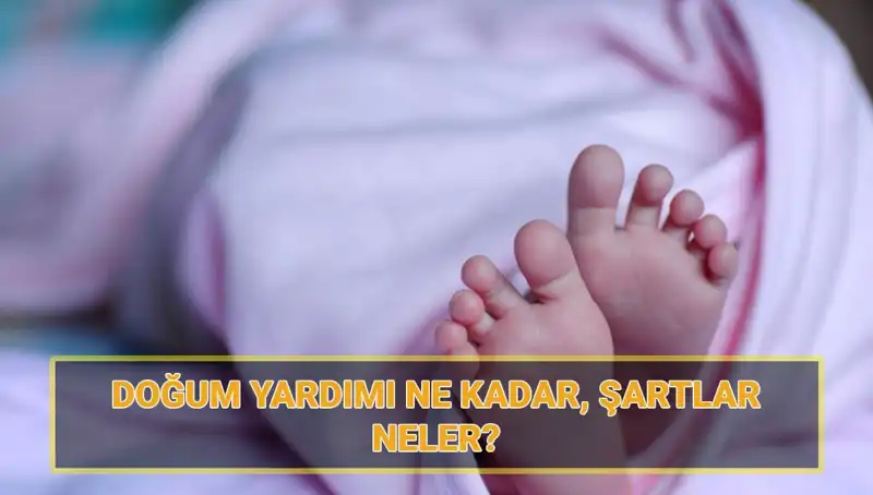 2025 Doğum Yardımı Başvuruları Başladı: Çocuk Parası Miktarı ve Şartları Nelerdir?