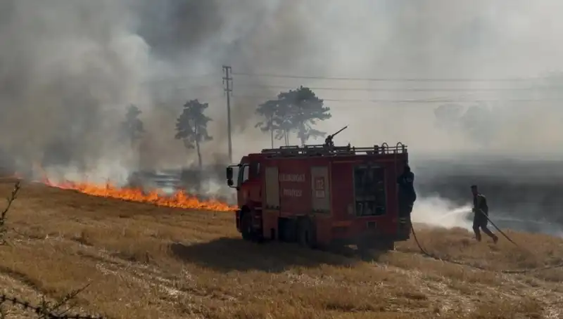 Kırklareli'nde Anız Yangını: Doğayı Tehdit Eden Korkutucu Olay