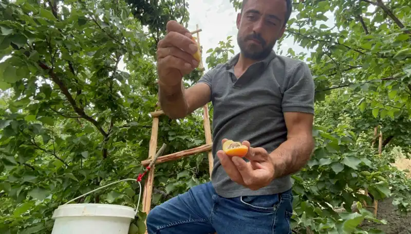 50 TL ile 70 TL Arası Alıcı Bulan Tadı Damağınızda Kalacak Lezzet