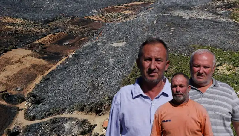 Çeşme Yangını: Kaybedilenler ve Yeniden Doğuş Mücadelesi