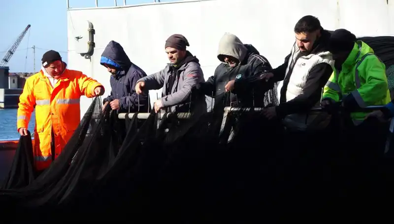 Hamsi Avı Sonlandı: Balıkçılar Erken Sezon Kapatmanın Zorluklarını Yaşıyor