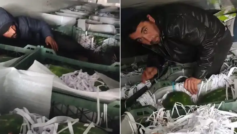 Karpuzların Arasından Göçmenlerin Çıkışı: Sıradışı Bir Olayın Perdesi Aralanıyor