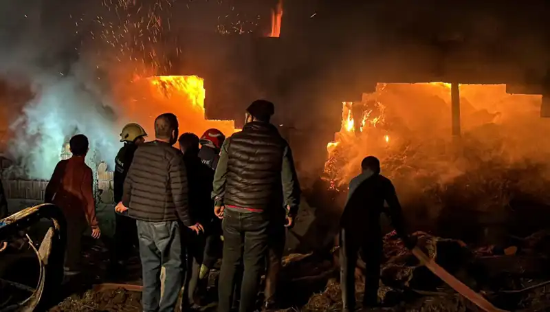 Bolu'da Şok Eden Ahır Yangını: Hayvanlar ve İki Yaşam Yitirildi