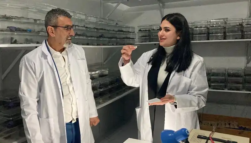 Akrep Zehri Şekere Damlatılıyor: Sağlık ve Tehlike Üzerine Çarpıcı Tahlil