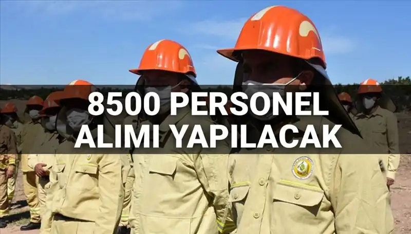 2025'te Tarım ve Orman Bakanlığı 8500 Personel Alımı: Şartlar ve Tarihler Açıklandı!