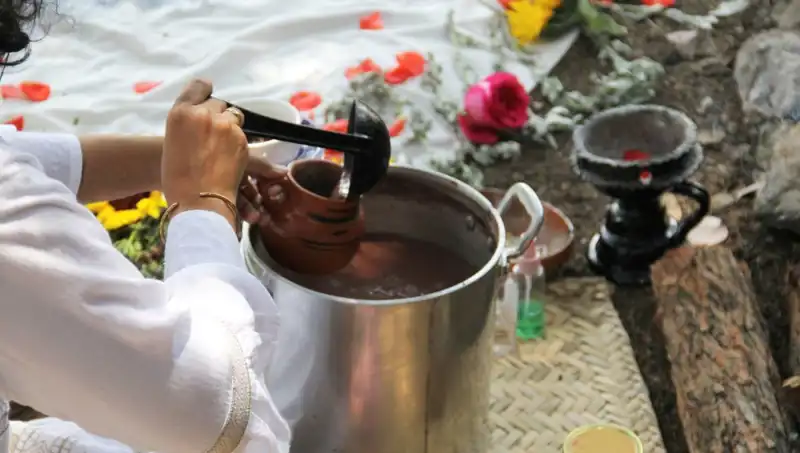 Ayahuasca: Gizemli Şifalı Çayın Bilimsel ve Kültürel Derinliği