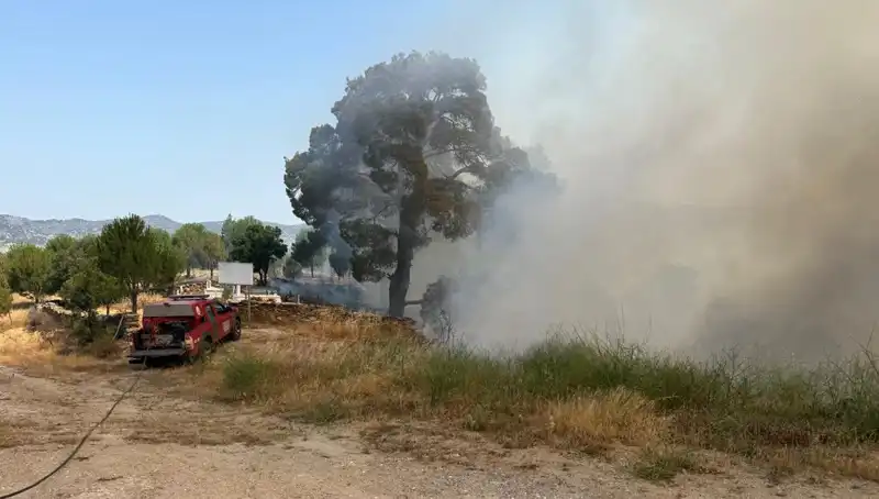 Muğla’da Orman Yangını: Ekipler Seferber Oldu, Canlı Varlıklar Tehlikede