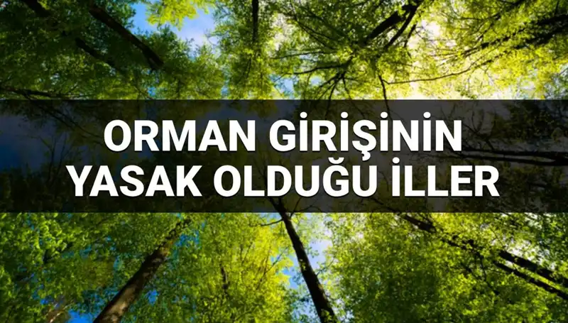 2025'te Ormana Girmek Yasaklanan İller: Hangi Bölgeler Etkilenecek?