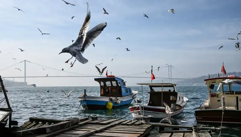 İstanbul'da Bahar Müjdecisi: Hava Açılıyor, Tarih Belli Oldu!