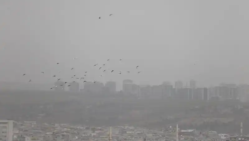 Şanlıurfa'da Toz Bulutu Alarmı: Göz Görmüyor, Hayat Durduruldu!