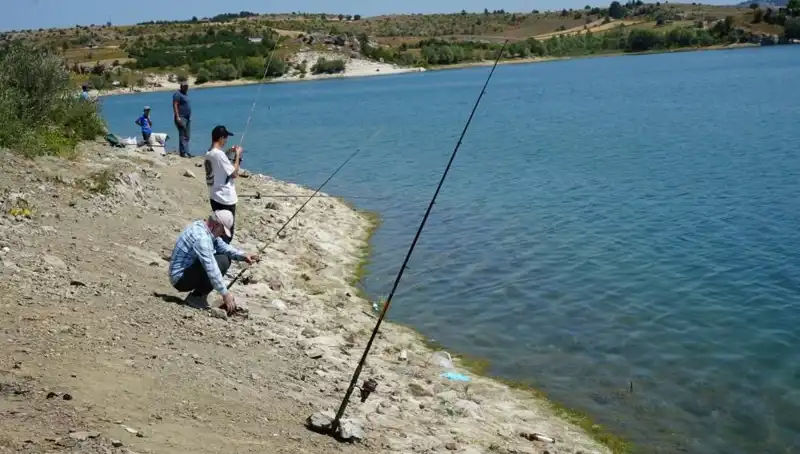 Kafesler Patladı! Baraja Koşanların Nedenleri ve Etkileri