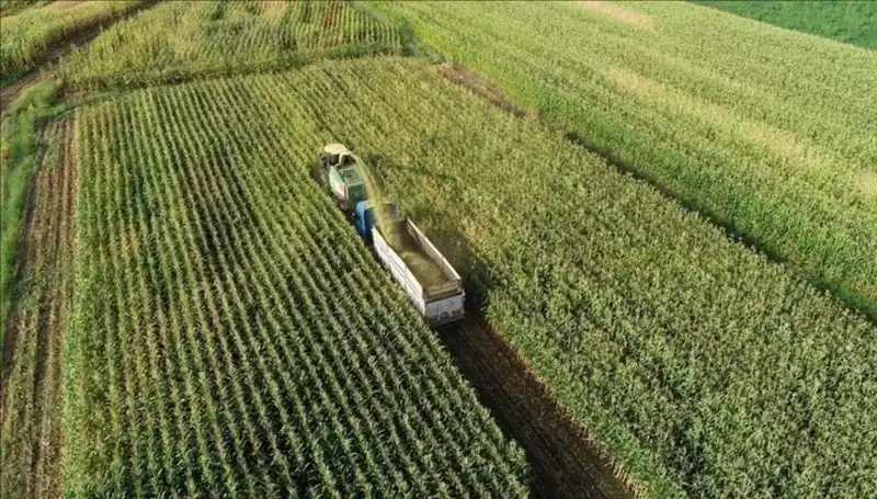 Mart 2025 Mazot ve Gübre Desteği Ödemeleri Hakkında Tüm Detaylar
